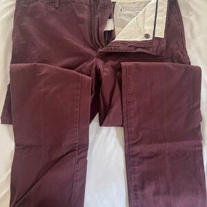 Men's Polo Burgundy Pants